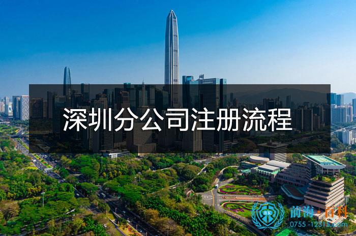 深圳分公司注册流程
